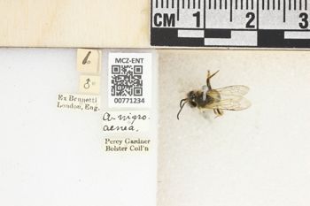 Media type: image;   Entomology 771234 Aspect: Labels